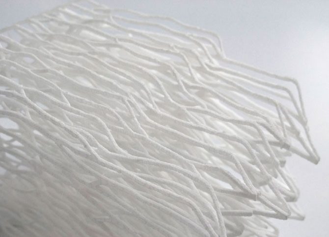 Biomimicry by Lilian van Daal